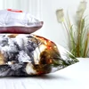 Kép 2/5 - Cuki kutyás ágynemű