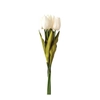Kép 3/3 - Fehér tulipán