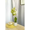 Kép 4/4 - Cserepes orchidea