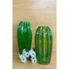 Kép 2/2 - Cactus - váza 7x25 cm