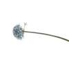 Kép 1/2 - Kék gömb formájú - hosszúszárú művirág