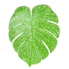 Kép 1/2 - Zöld színű levélformájú alátét