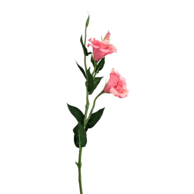 Liziantusz művirág - Halvány rózsaszín