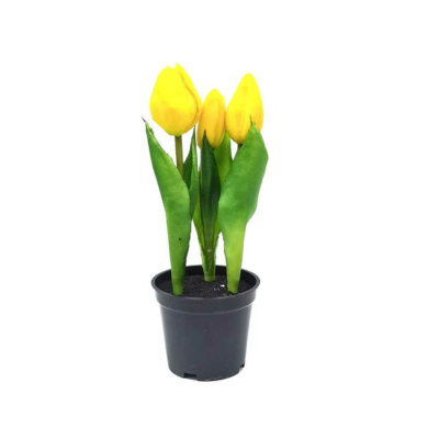 Cserepes mű tulipán - Sárga