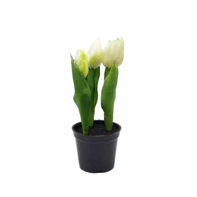 Cserepes mű tulipán - Fehér