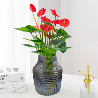 New Zealand - váza 8.5x25 cm