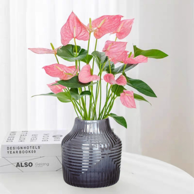 New Zealand - váza 6x18 cm