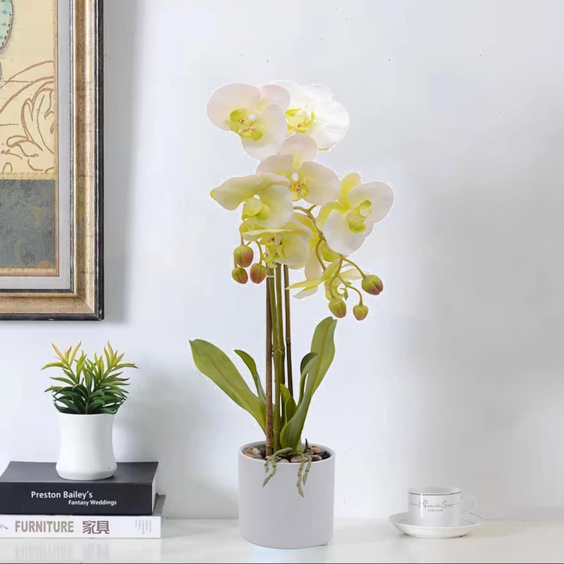 Cserepes orchidea művirág 