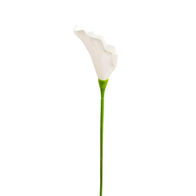 Kála művirág - Fehér