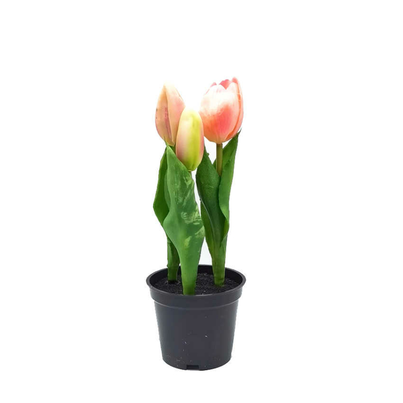 Cserepes mű tulipán - Rózsaszín