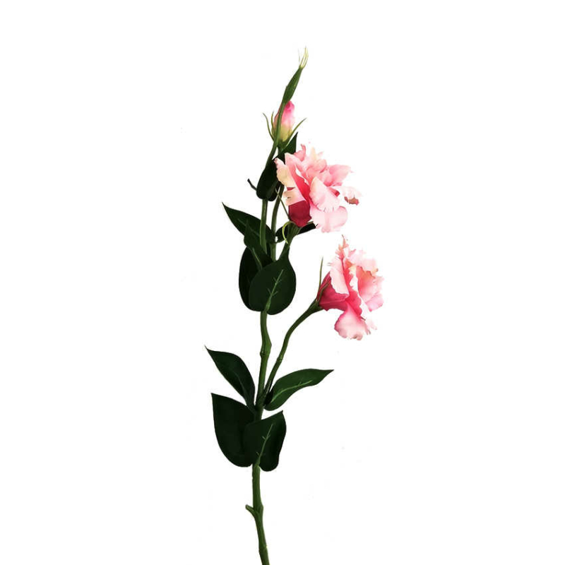 Liziantusz művirág - Rózsaszín