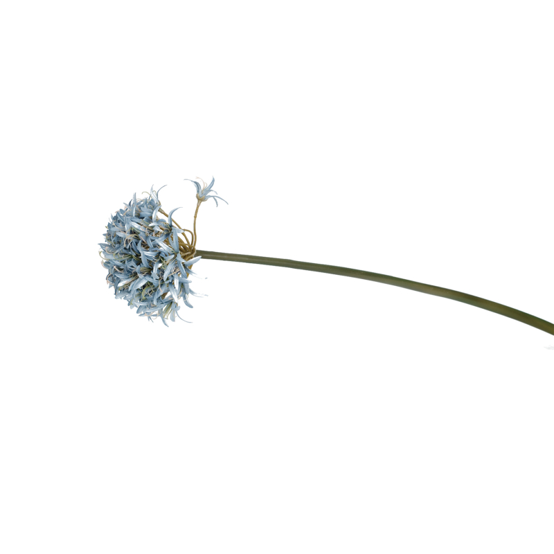 Kék gömb formájú - hosszúszárú művirág