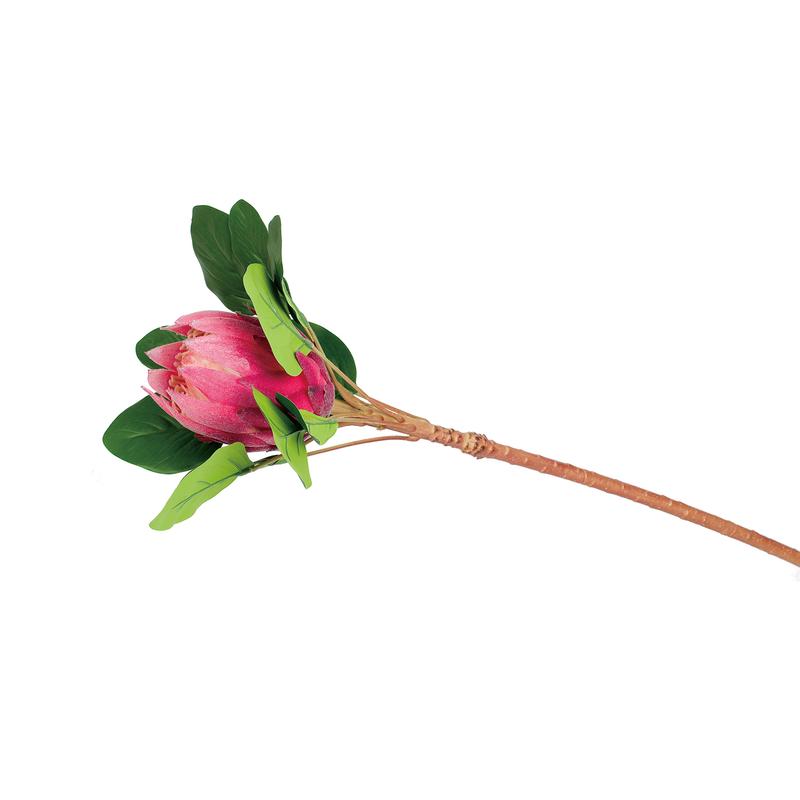 Protea - Hosszúszárú művirág